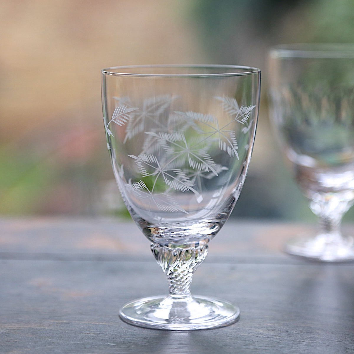 Crystal Bistro Glasses with Fern Design
