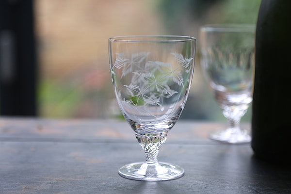 Crystal Bistro Glasses with Fern Design