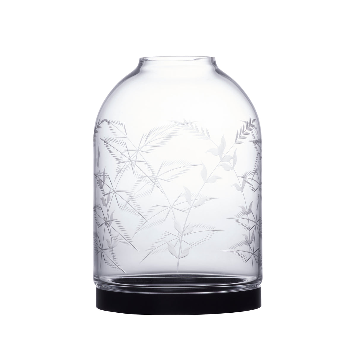 Cloches: Fern